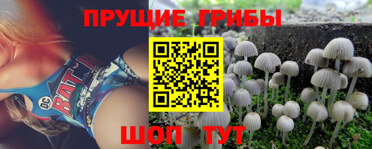 Ликино-Дулёво  Псилоцибиновые грибы Cubensis  Вход с VPN  Псилоцибиновые грибы мухоморы 